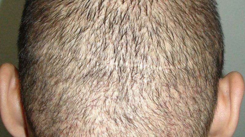 DSC08785.JPG