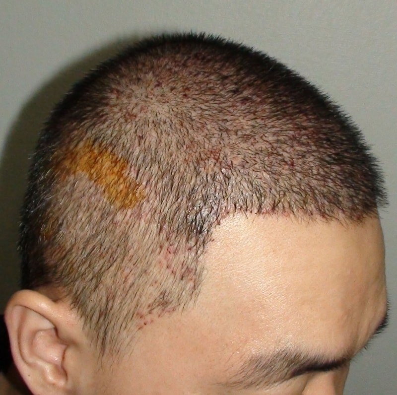 DSC08811.JPG