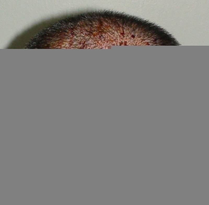 DSC08794.JPG