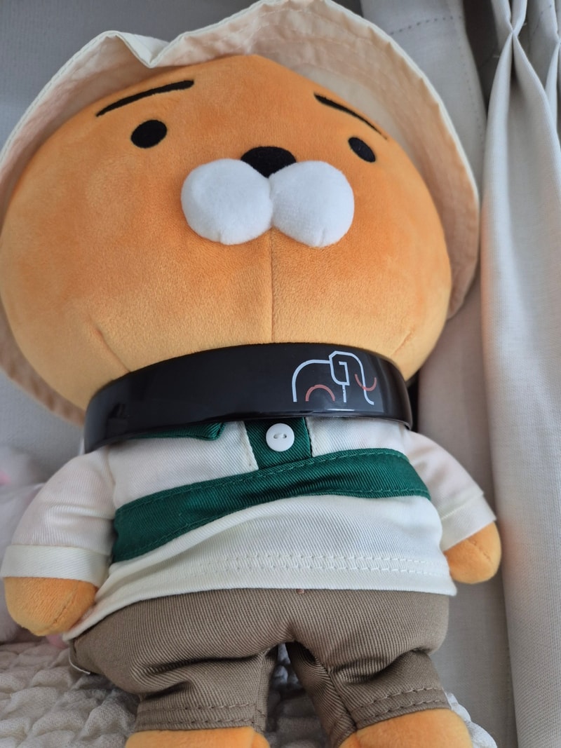 KakaoTalk_20250201_112631673.jpg