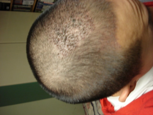 DSC00784.JPG