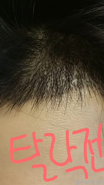 IMG_20150512_2.png