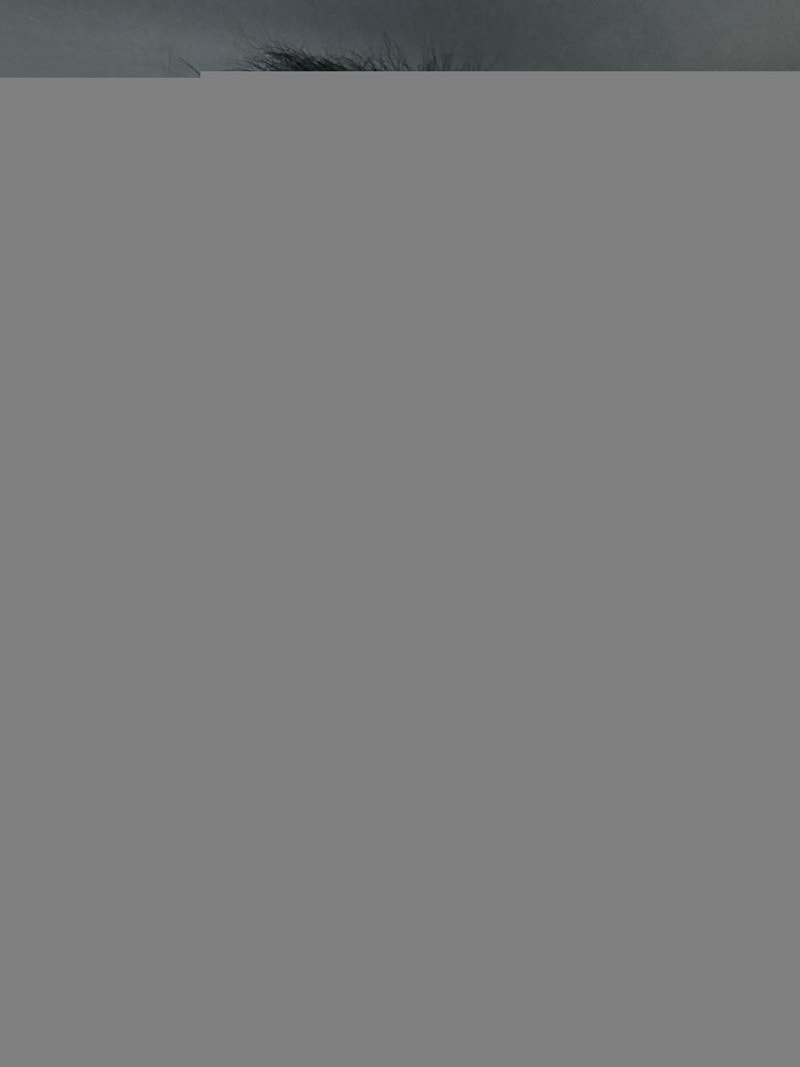 KakaoTalk_20240516_212346732_16.jpg