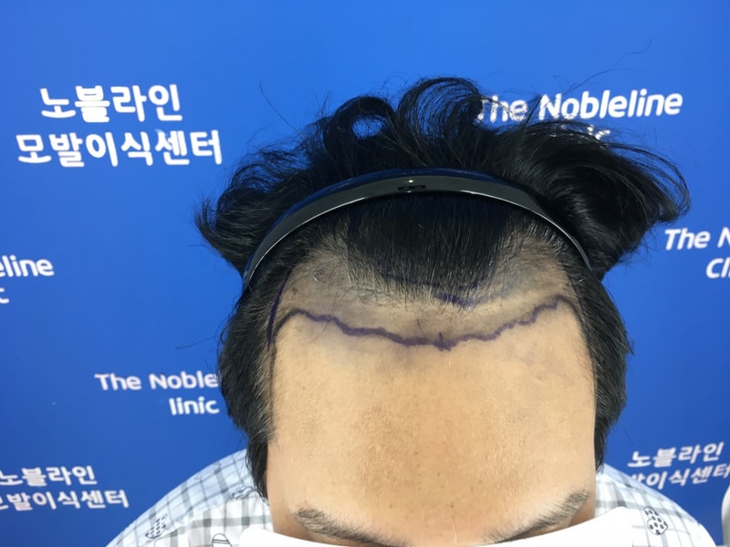내년 봄을 기다리며....