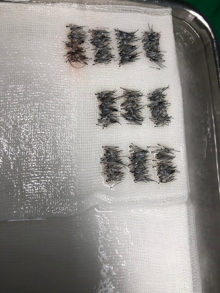 KakaoTalk_20190417_205603572.jpg