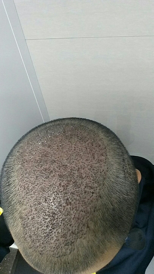 KakaoTalk_20190101_161249003.jpg