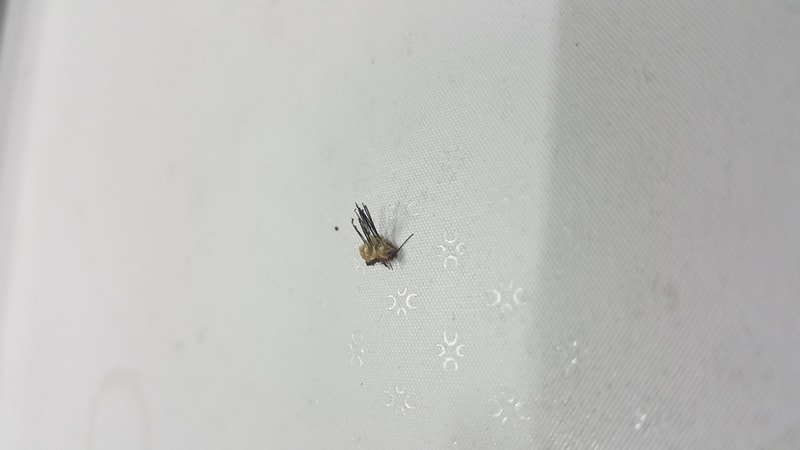 KakaoTalk_20181203_223052406.jpg