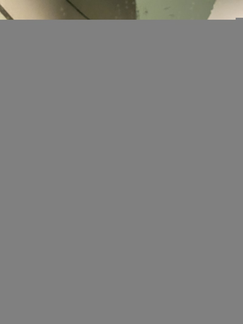 43F29862-7DD2-4803-B7A6-74CDFEF87114.jpeg