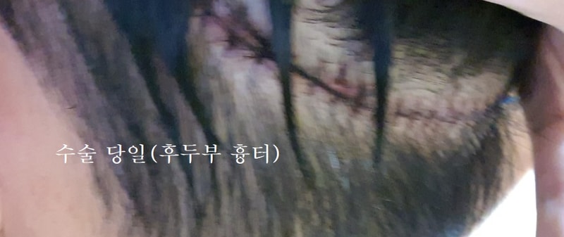 400.jpg