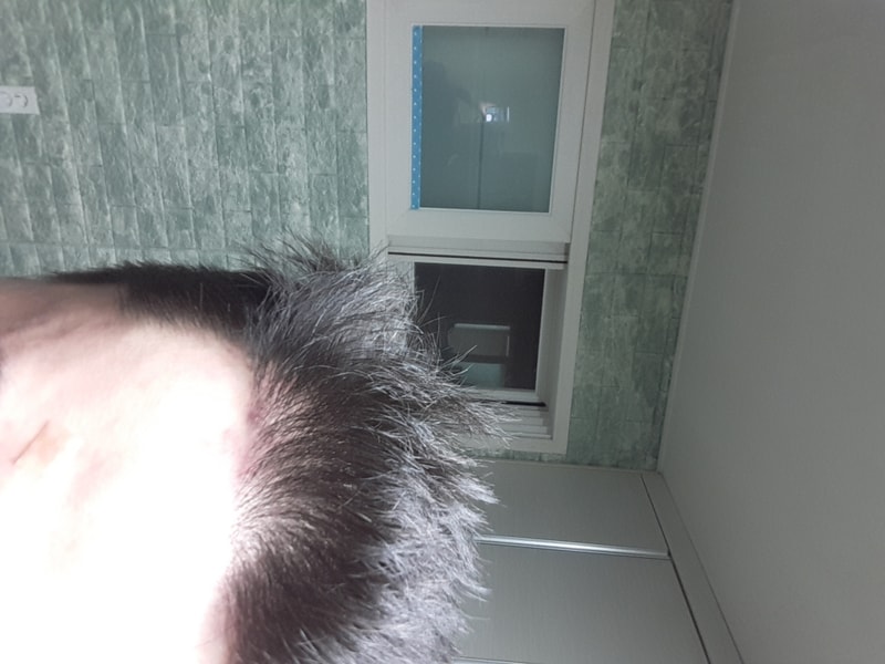 20170919_202816.jpg