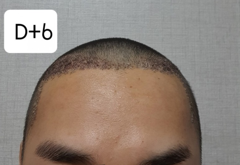 6일.PNG