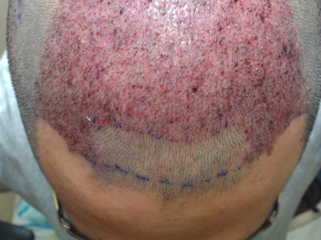 IMAG0147.jpg
