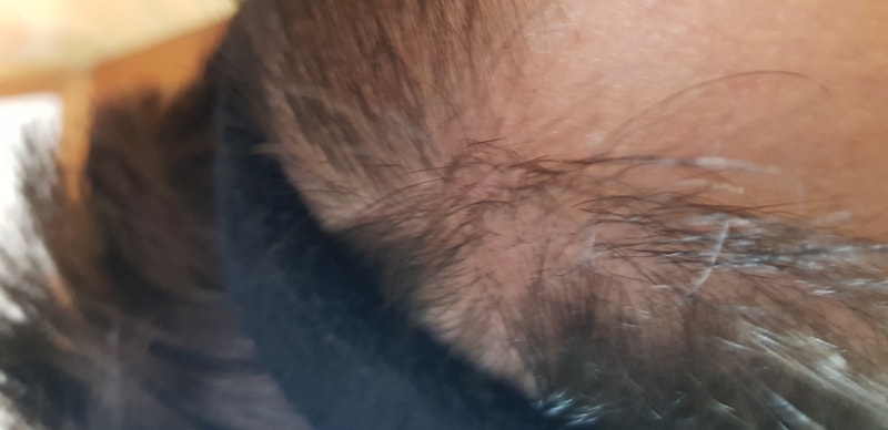 20190507_174958.jpg
