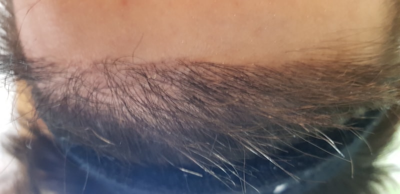 20190507_175009.jpg