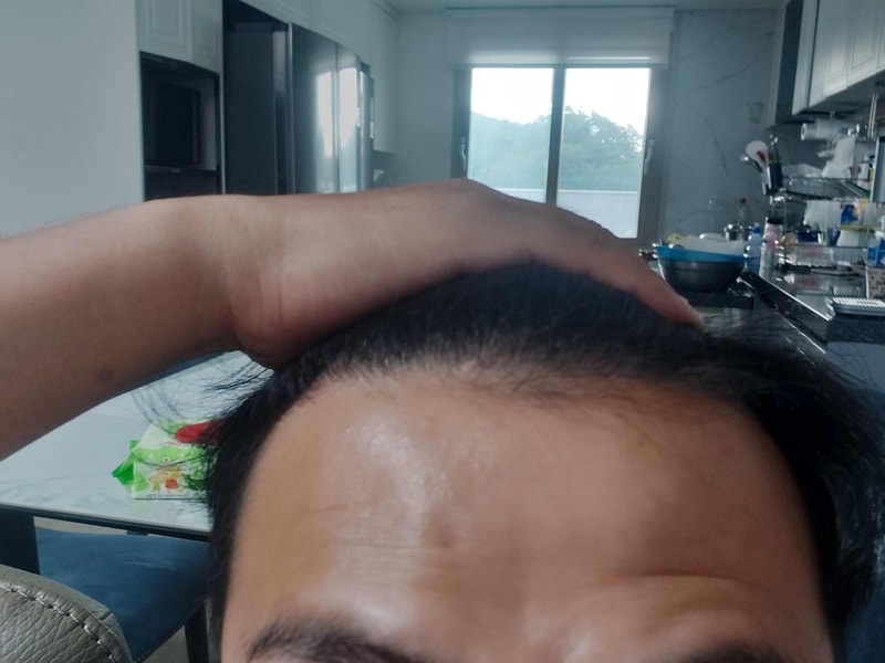 붕붕.jpg