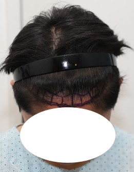 스크린샷 2025-03-04 205817.png
