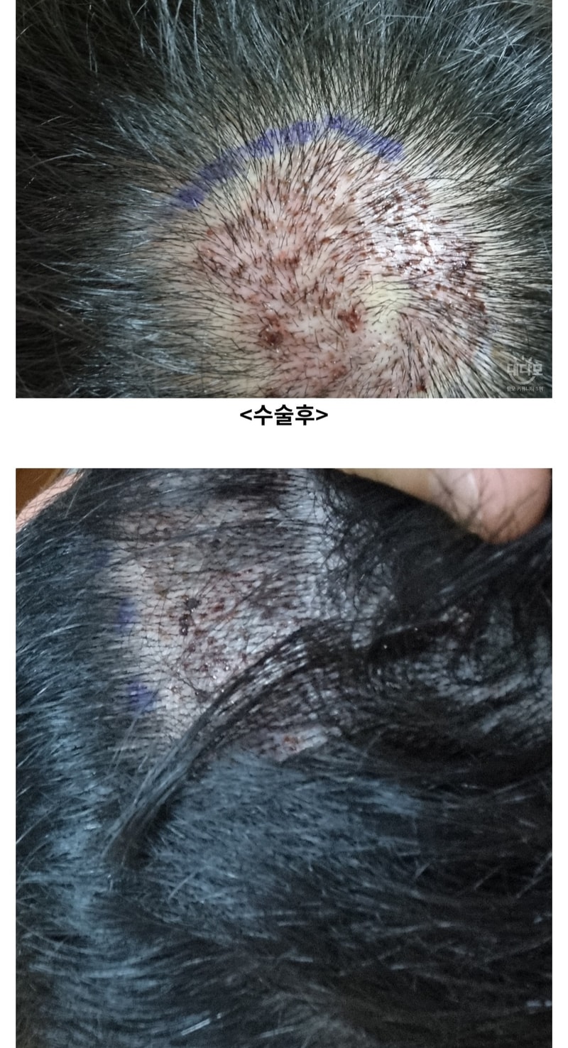 Screenshot_20211017-112543_NAVER.jpg