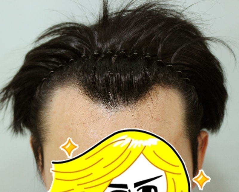 Hairline non-cut 2800 wool half-year