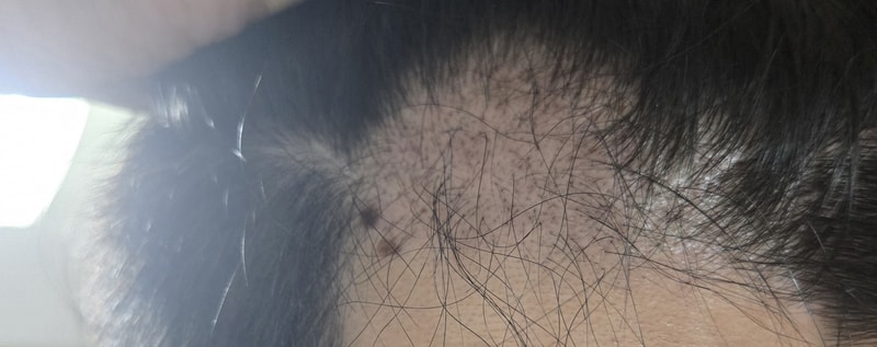 포토후기 이미지