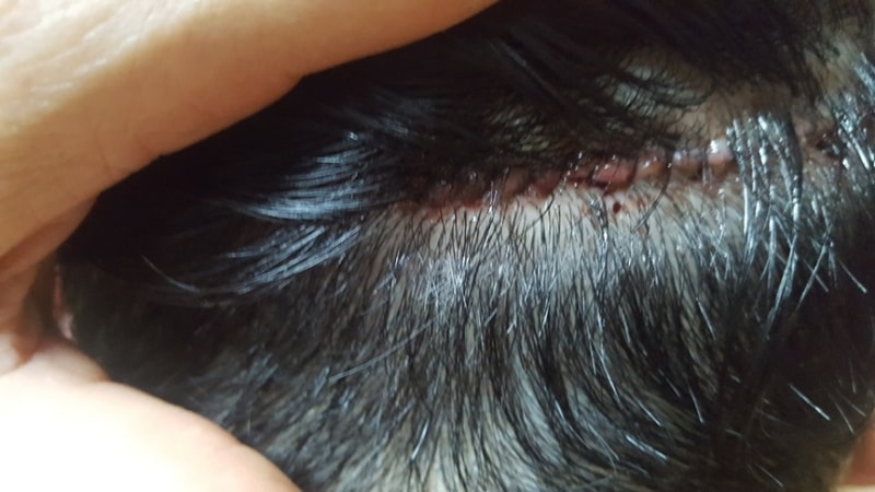 KakaoTalk_20180807_083957671.jpg
