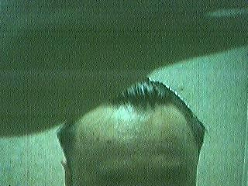 noname53.jpg