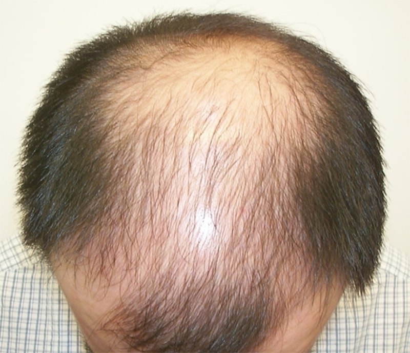 saji122.jpg