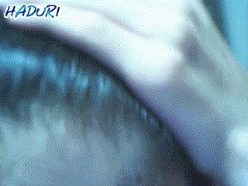 앞에_빠지고.gif