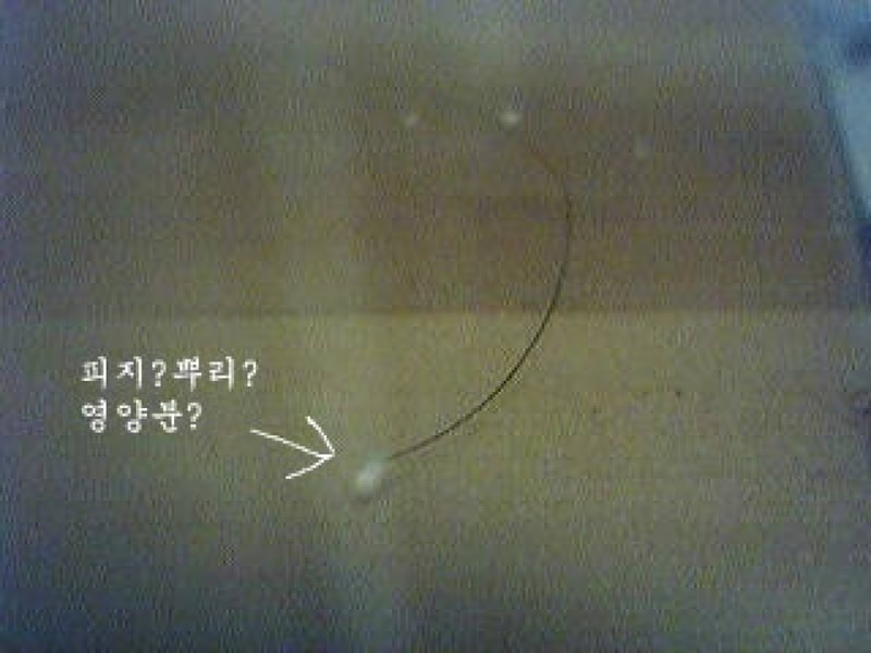 11111110_.jpg