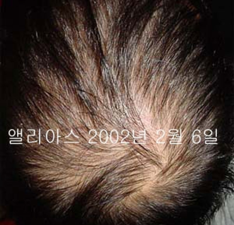 20020206.jpg