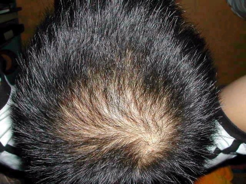 20030623.jpg