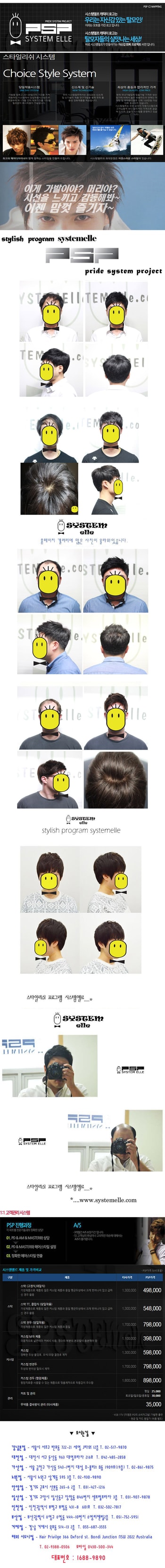 시스템엘르 가발