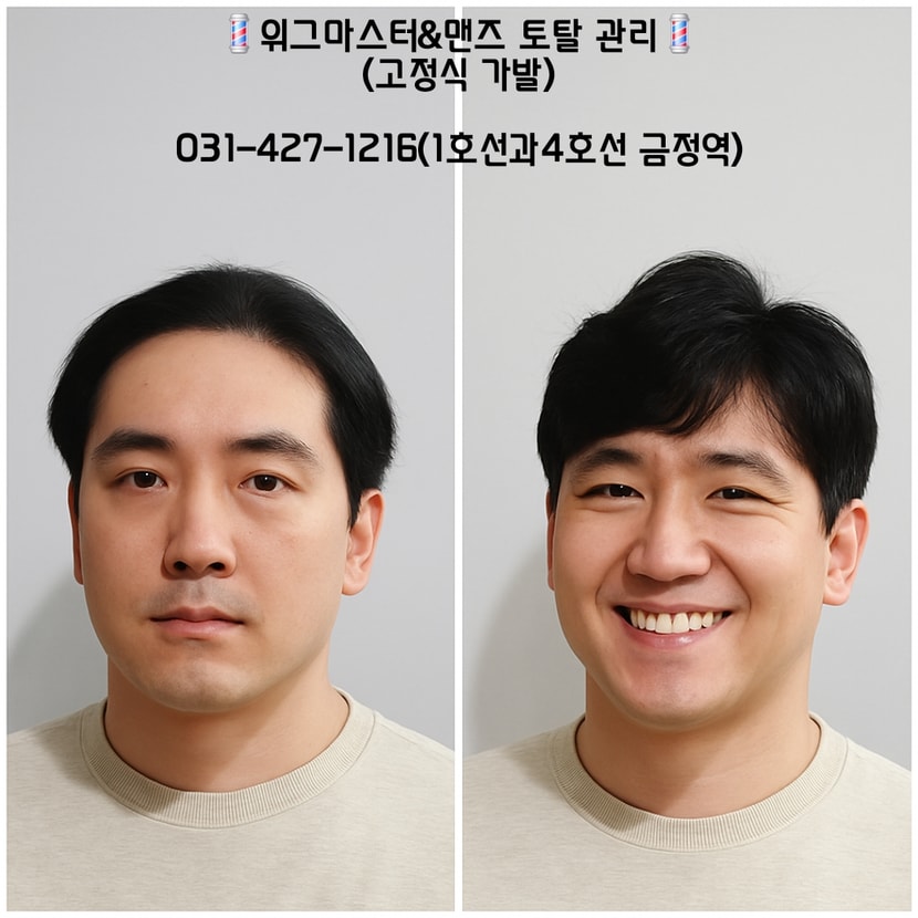 고정식 가발