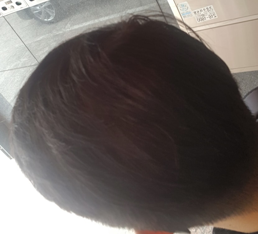 19년 증모술