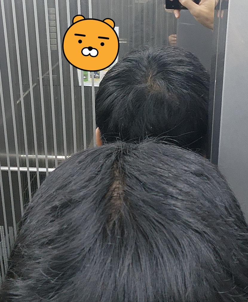 2024년