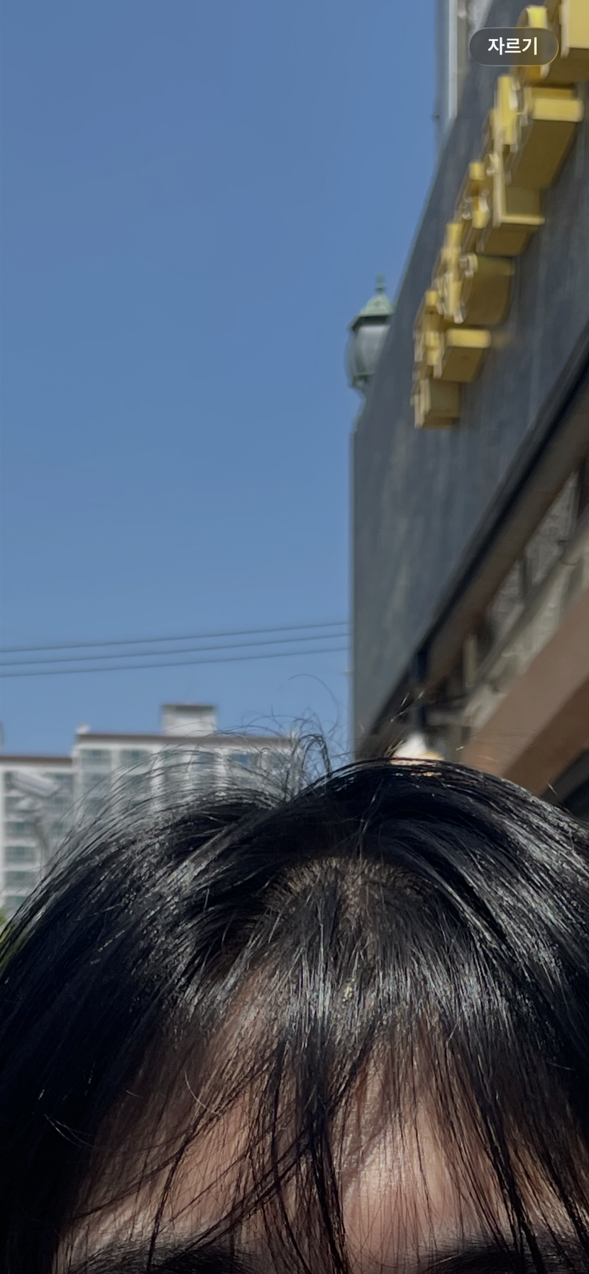 유독 앞머리가 보여요