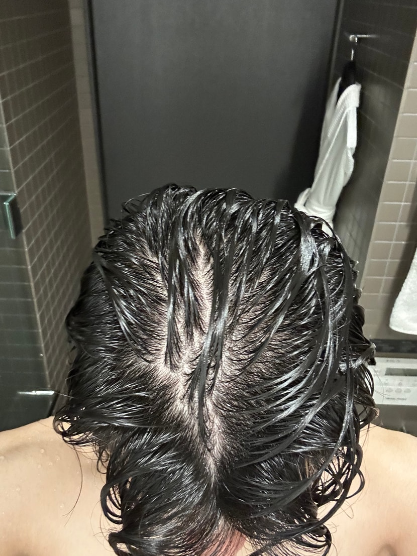 25년 중반기 젖은머리