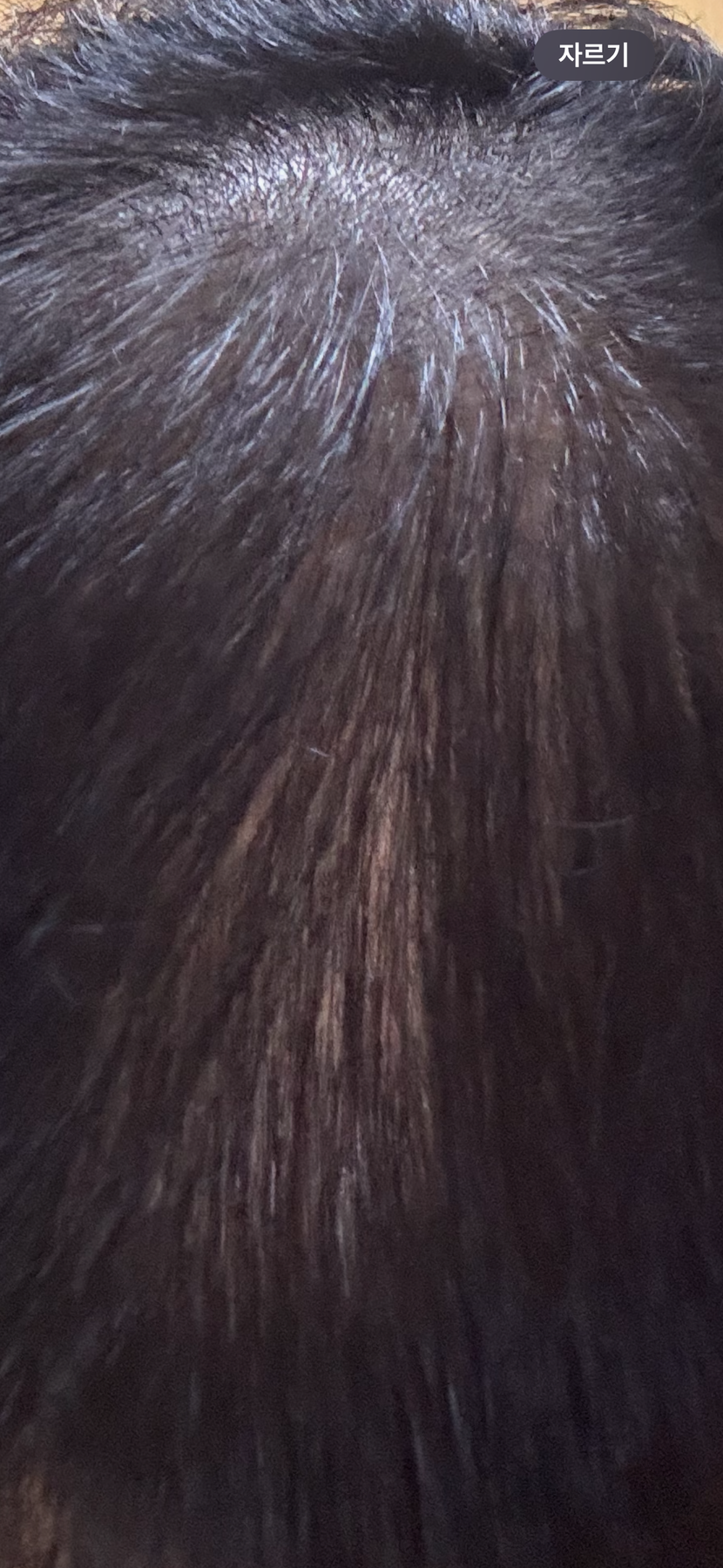 30일차