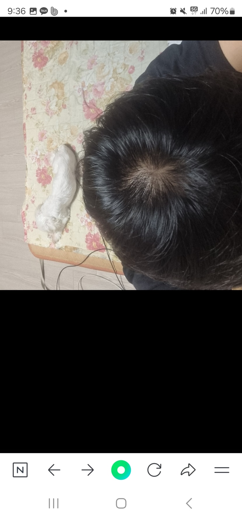 약먹기전