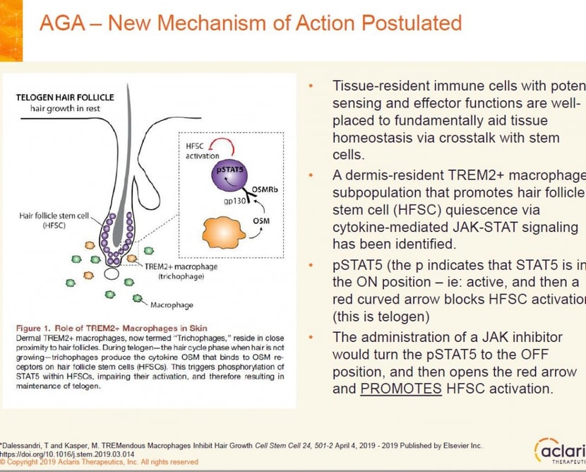 mechanism of action