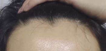 올해 1월 1