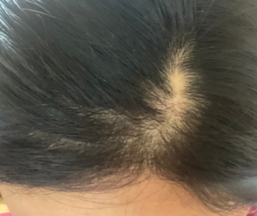 위에서 찍은 사진입니다 