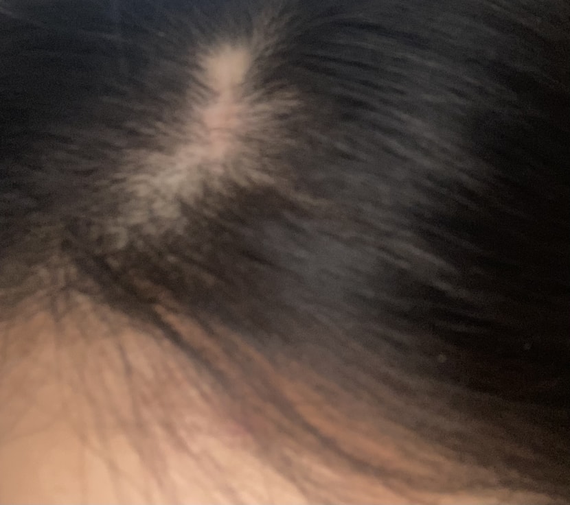 방금 전에 찍은 사진입니다 