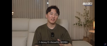 화제의 성분은 2dDR