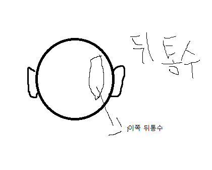 뒤통수 그림 