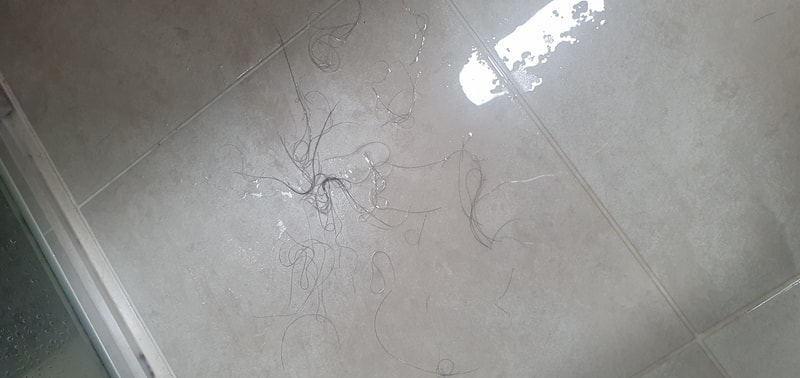 쉐딩은 언제부터 언제까지 오는건가요? 미치겠습니다