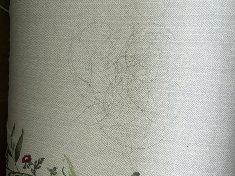 この前に投稿した21歳のピナ、今は13日目