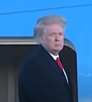 심기가 불편(앞은 이식한 탓인지 별 티가 안남)