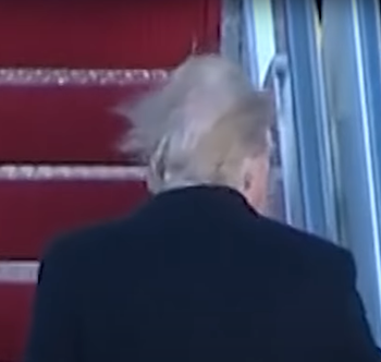 바람이 부니 서서히 머리가 날리기 시작