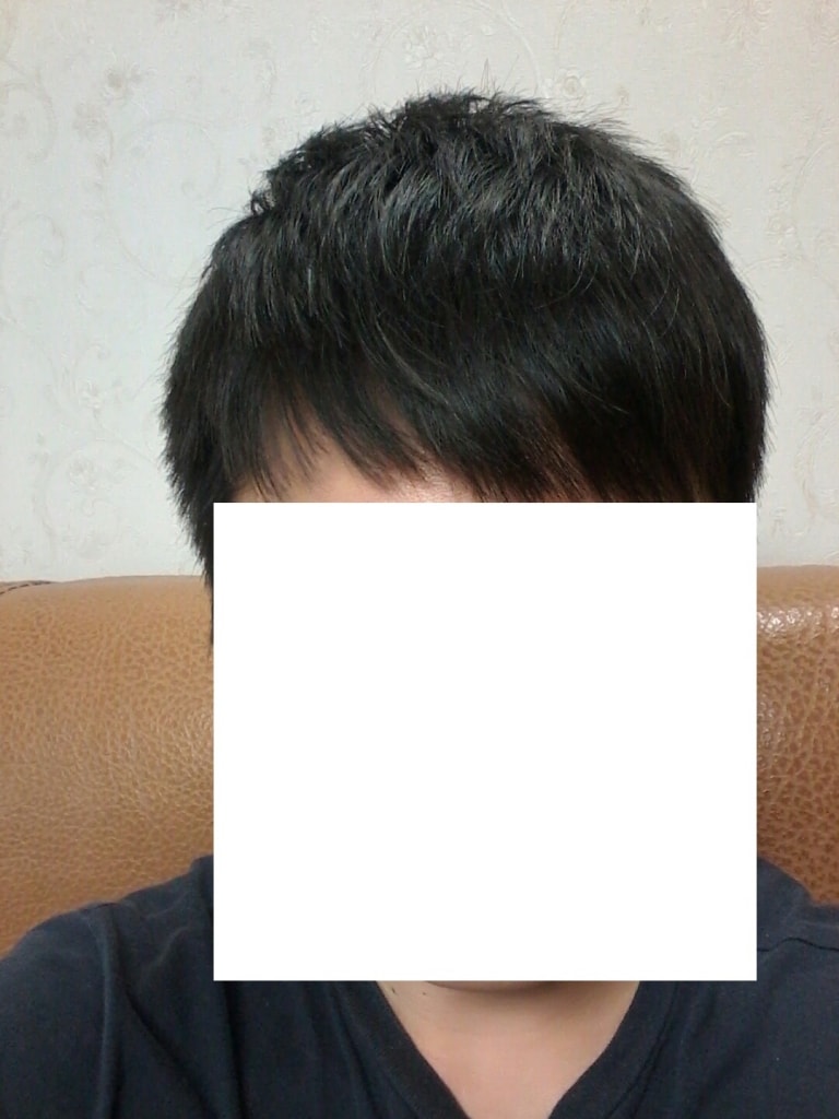 정면