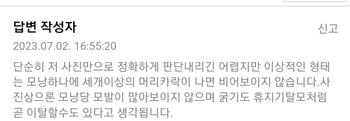 인터넷 익명 답변